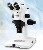 体视显微镜 SZX10