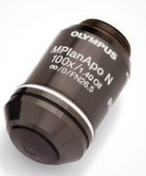 物镜 MPLAPON-Oil